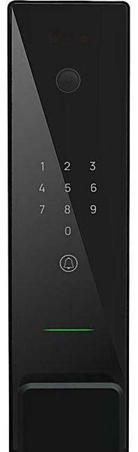 HOGO V 07